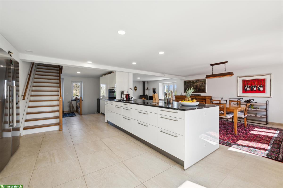 Bild 3: Kernsanierte Reitsportimmobilie für private Pferdehaltung in Montignez