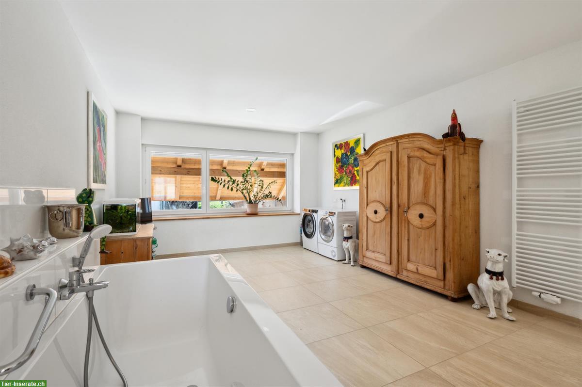 Bild 4: Kernsanierte Reitsportimmobilie für private Pferdehaltung in Montignez