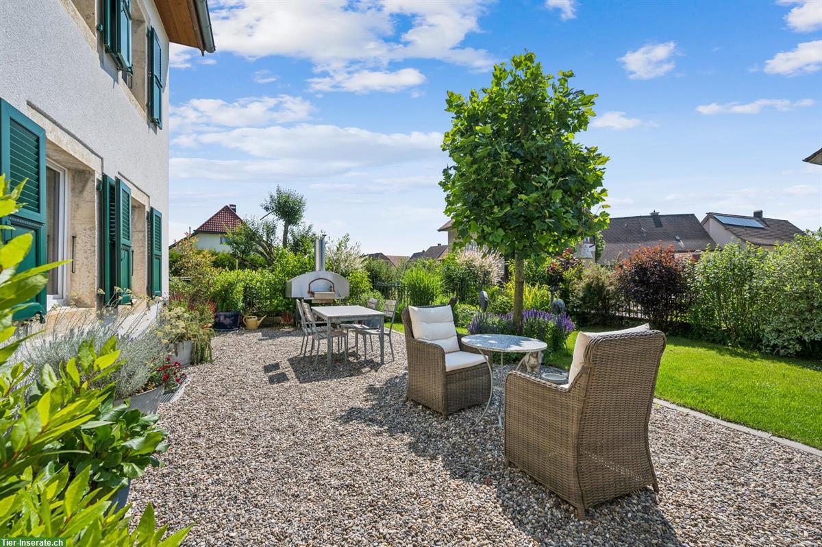 Bild 5: Kernsanierte Reitsportimmobilie für private Pferdehaltung in Montignez