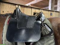 Pasosattel Leisure 2 von Madlen Fraefel, Dressur & Wanderreiten