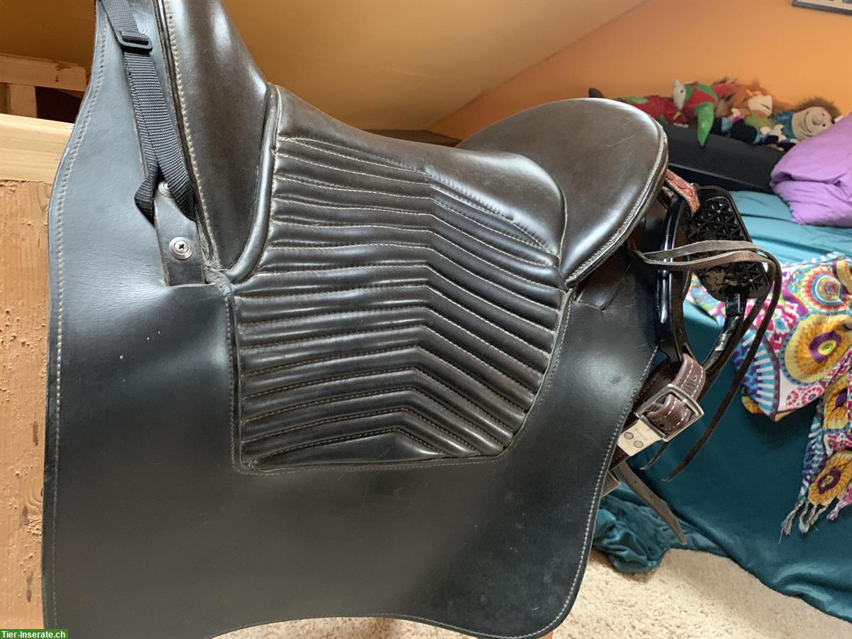 Bild 4: Pasosattel Leisure 2 von Madlen Fraefel, Dressur & Wanderreiten