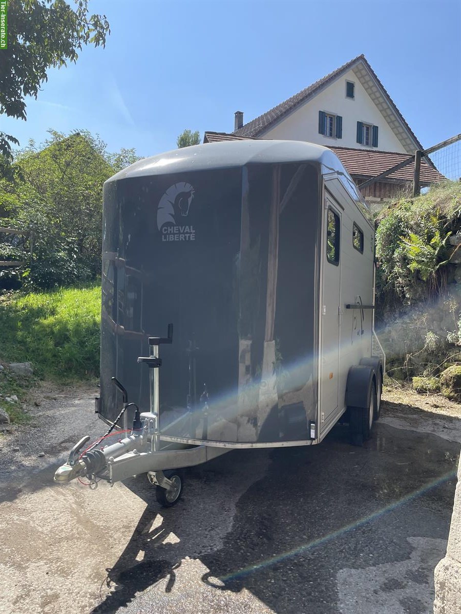 Bild 5: 3 Plätze in idyllischem Pferdestall in Rifferswil ZH