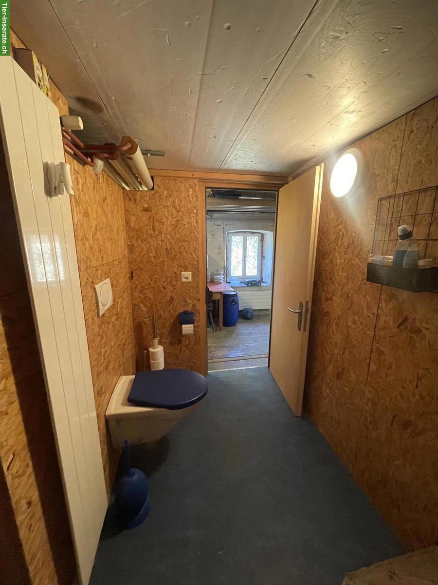 Bild 8: XL-Auslaufbox mit grandiosem Reitgebiet in Rifferswil ZH