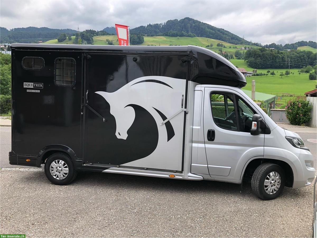 Selbstfahrer Pferdetransporter Peugeot Equi Trek Sonic Exel