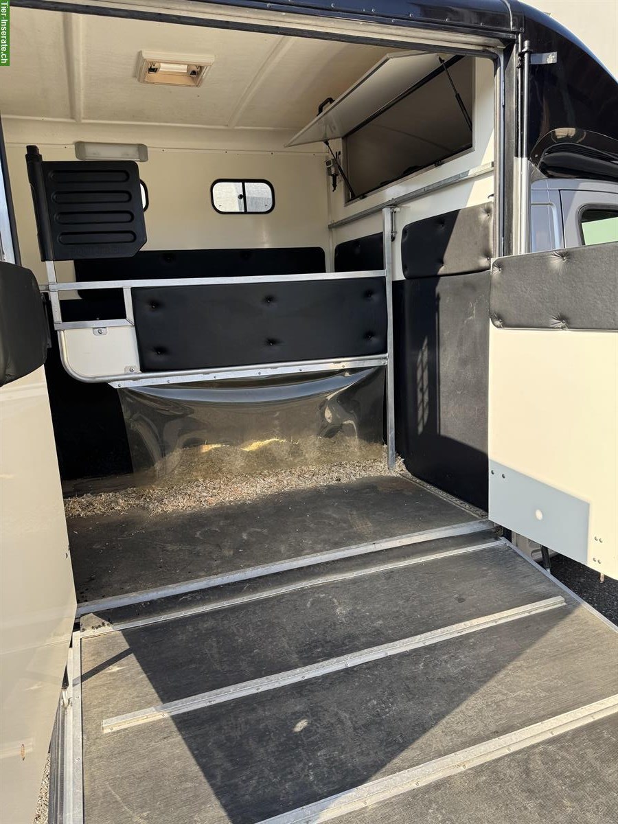 Bild 4: Selbstfahrer Pferdetransporter Peugeot Equi Trek Sonic Exel