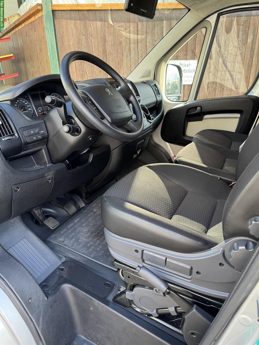 Bild 7: Selbstfahrer Pferdetransporter Peugeot Equi Trek Sonic Exel