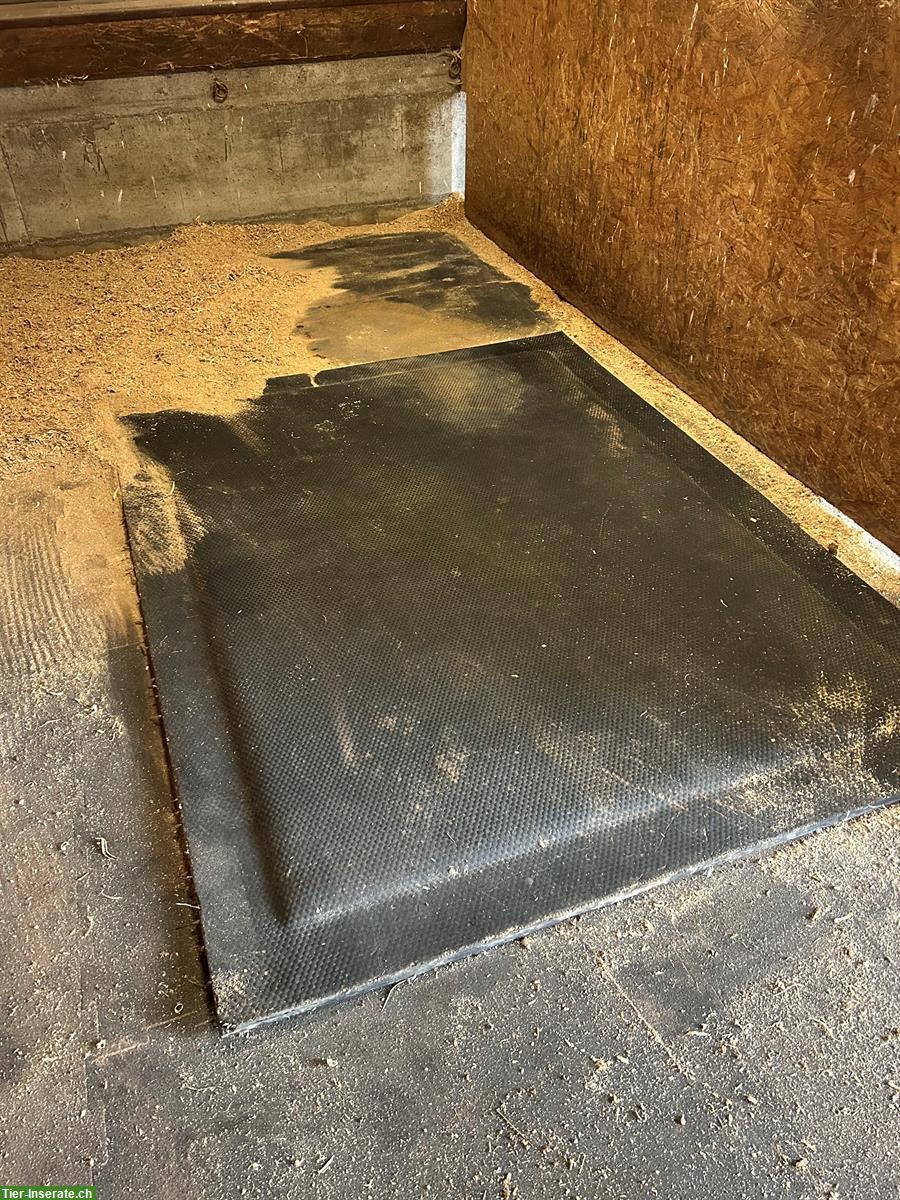 Bild 2: Kuschelmatte (180 x 240cm) zu verkaufen