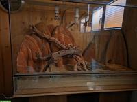 Glas-Terrarium inkl. Möbel und Zubehör