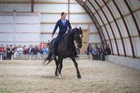 Akademische Reitkunst Wochenendseminar