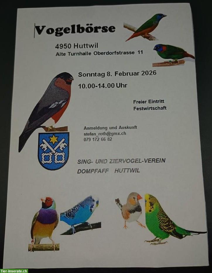 Vogelbörse in Huttwil BE, freier Eintritt