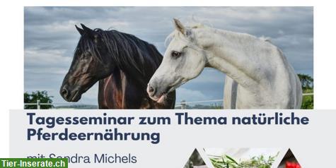Seminar Natürliche Pferde-Ernährung