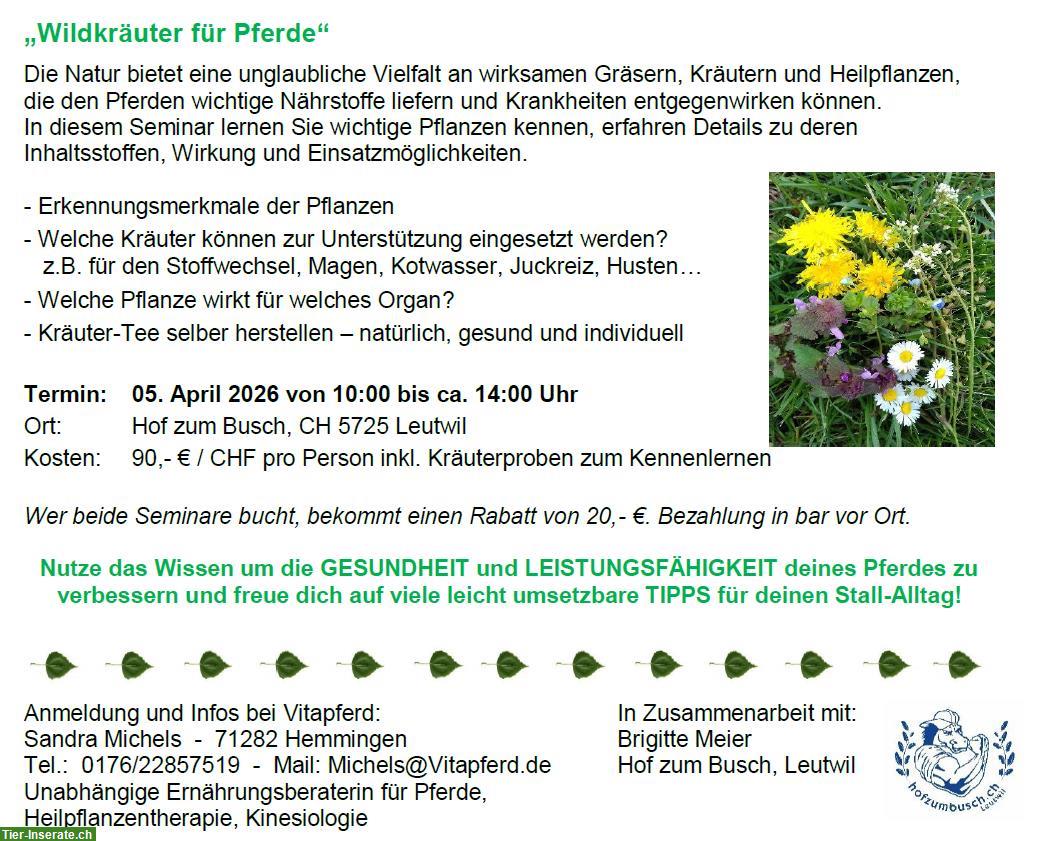 Bild 3: Seminar Natürliche Pferde-Ernährung