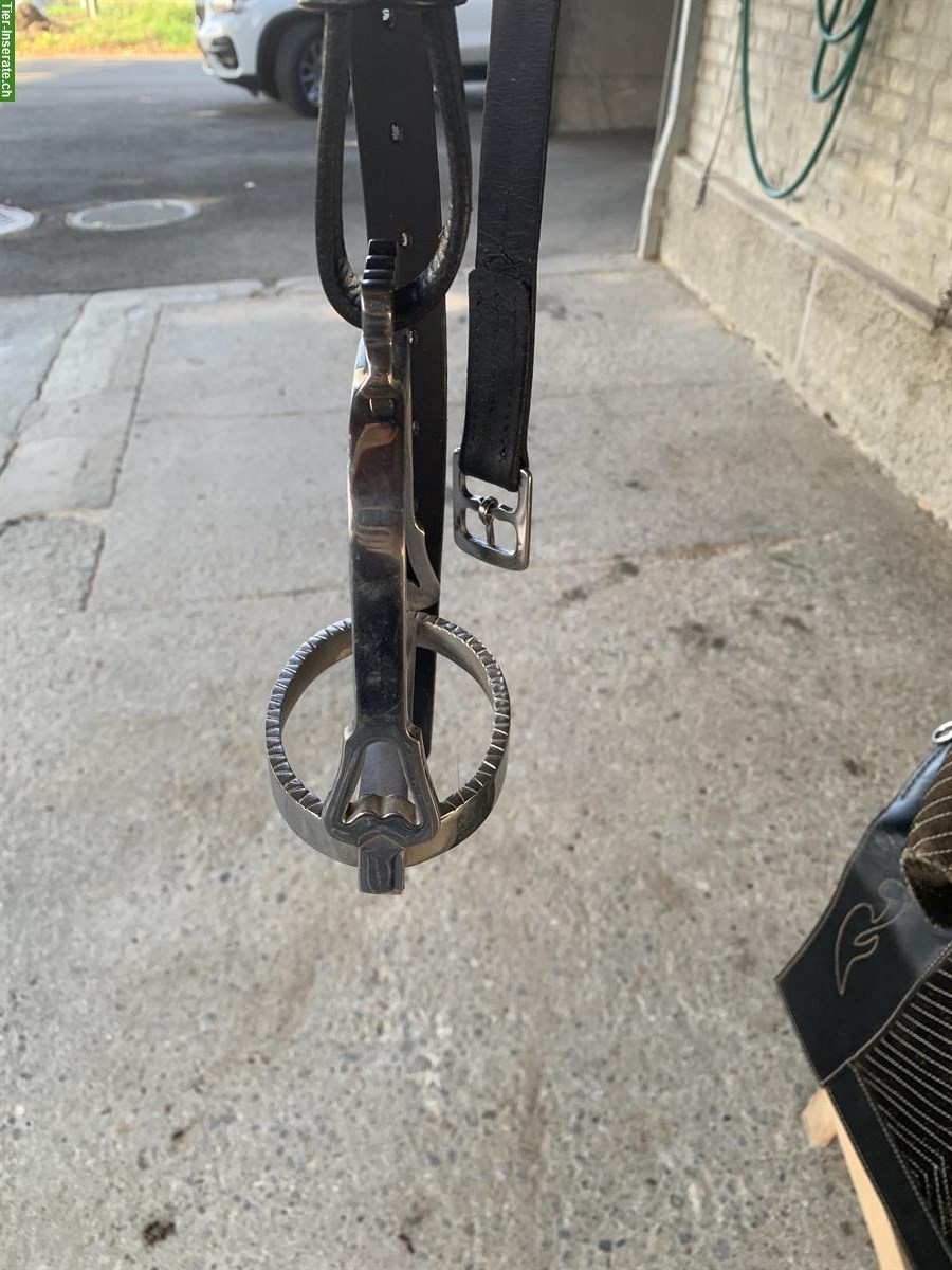 Bild 8: Portugiesischer Barocksattel von Ludomar