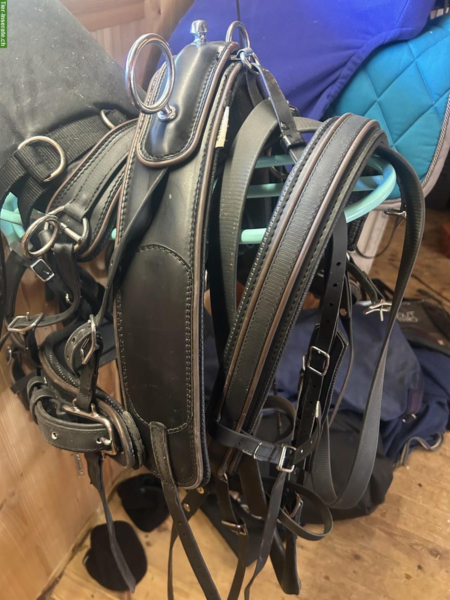 Biothane Kutschgeschirr Gr. Shetty/Pony