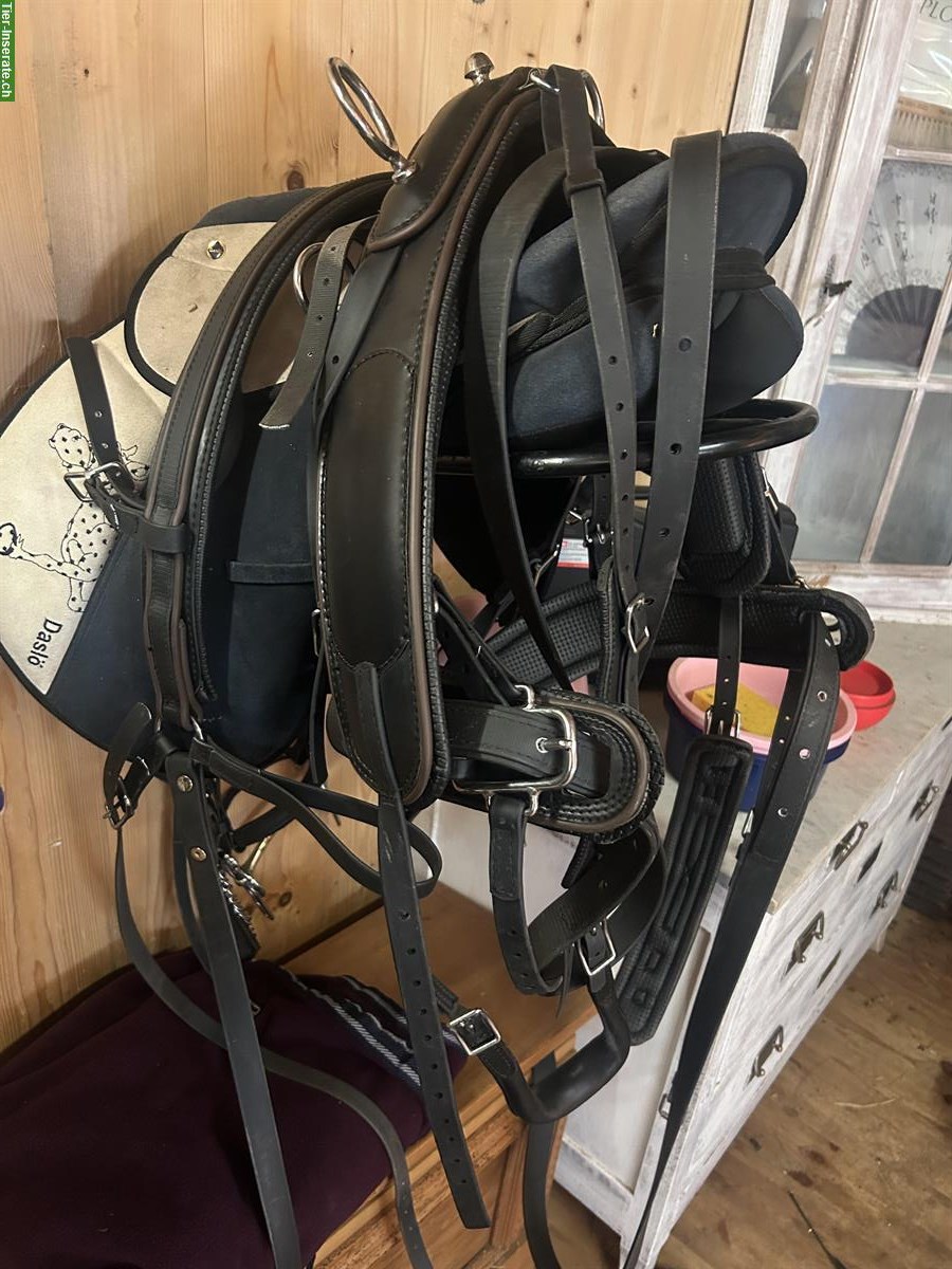 Bild 2: Biothane Kutschgeschirr Gr. Shetty/Pony