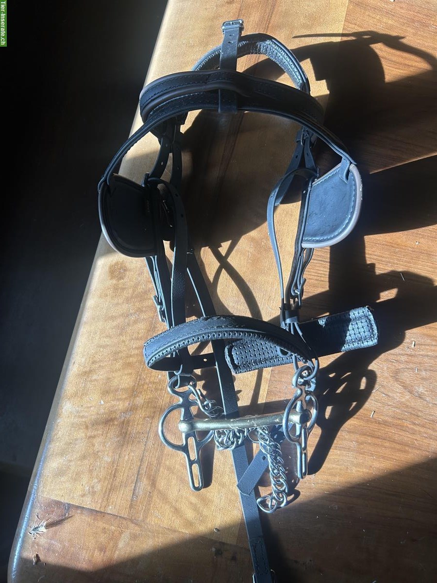 Bild 3: Biothane Kutschgeschirr Gr. Shetty/Pony