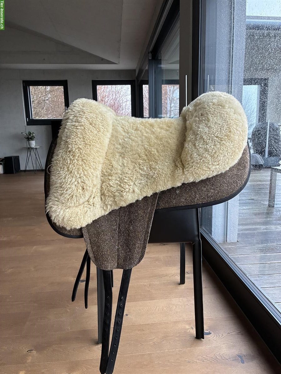 Grandeur Fellsattel Tomentum Endurance