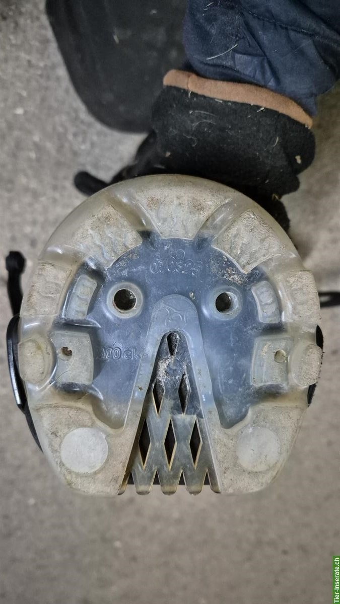 Bild 2: Floating Boots (2019) mit Gaitern zu verkaufen