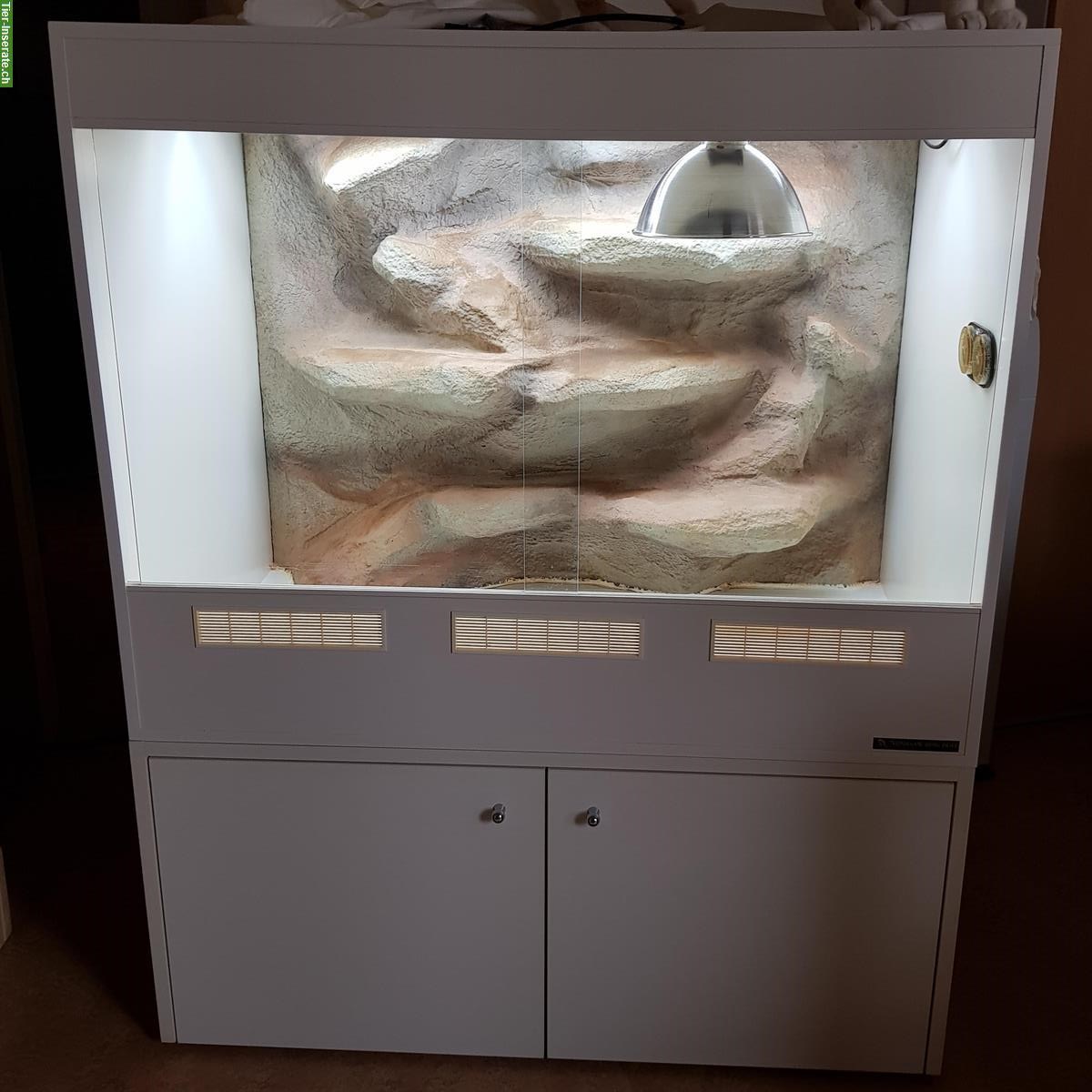 Wüstenterrarium mit Rückwand inkl. Unterbaumöbel