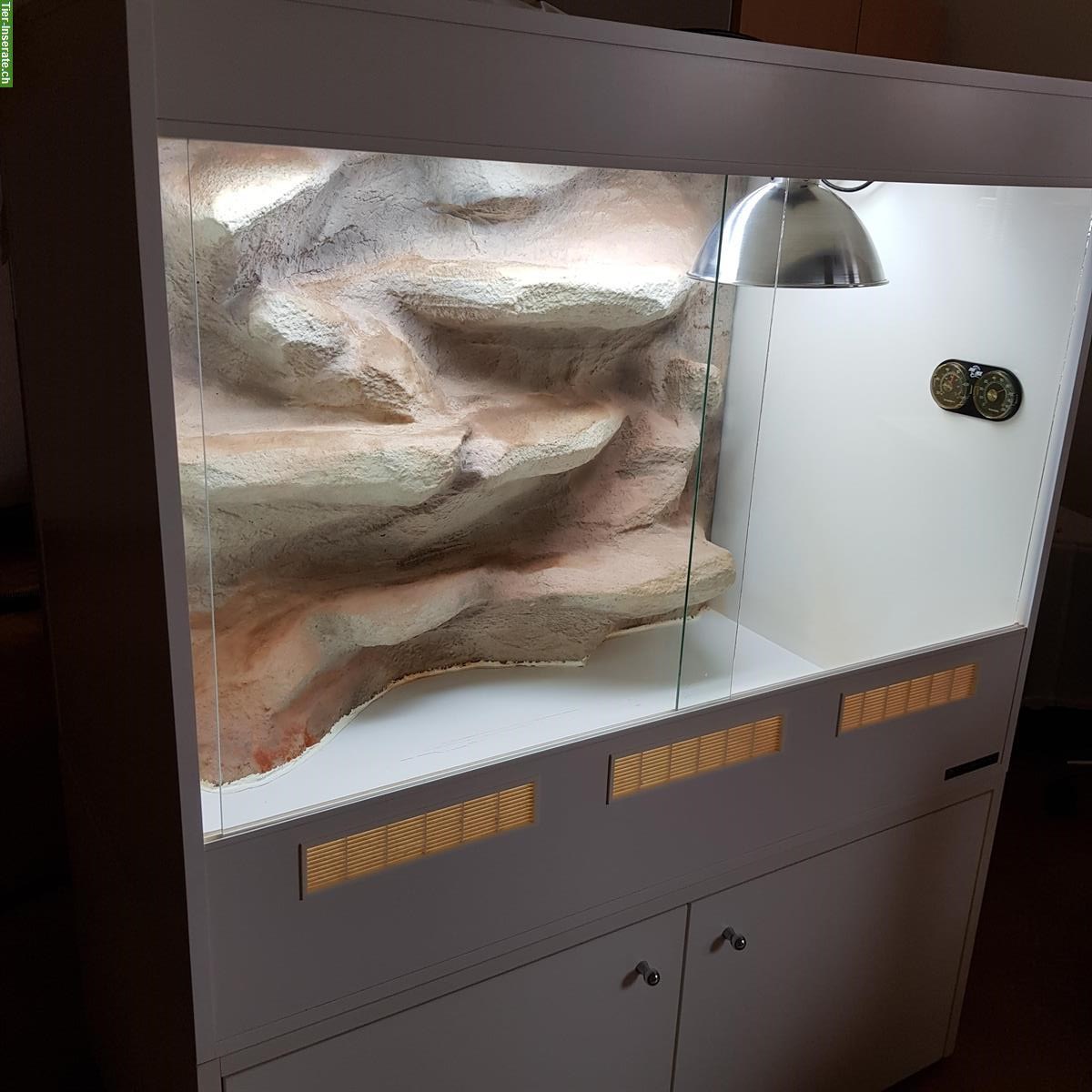 Bild 2: Wüstenterrarium mit Rückwand inkl. Unterbaumöbel