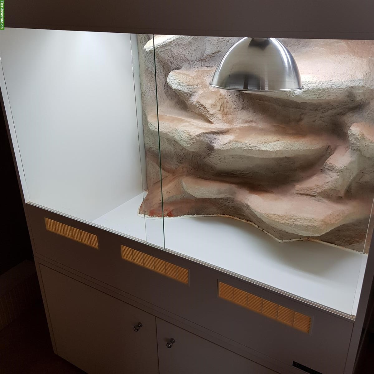 Bild 3: Wüstenterrarium mit Rückwand inkl. Unterbaumöbel