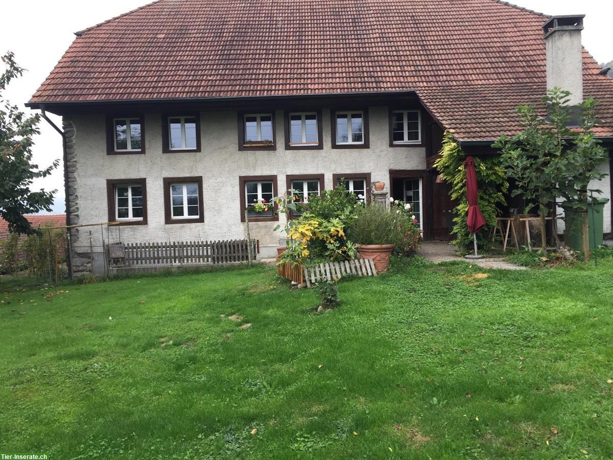 2 grosse WG-Zimmer zu vermieten in Leimbach AG