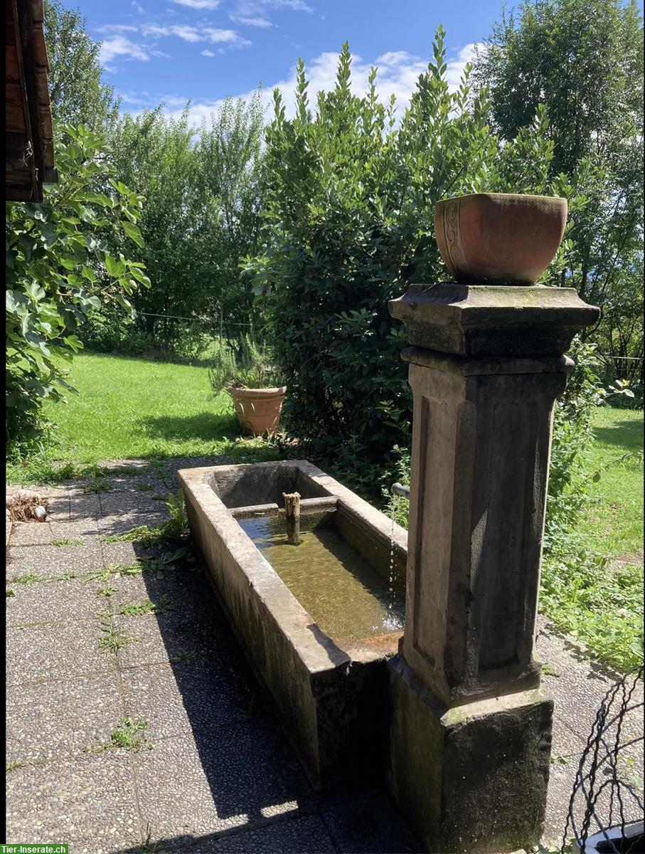 Bild 2: 2 grosse WG-Zimmer zu vermieten in Leimbach AG