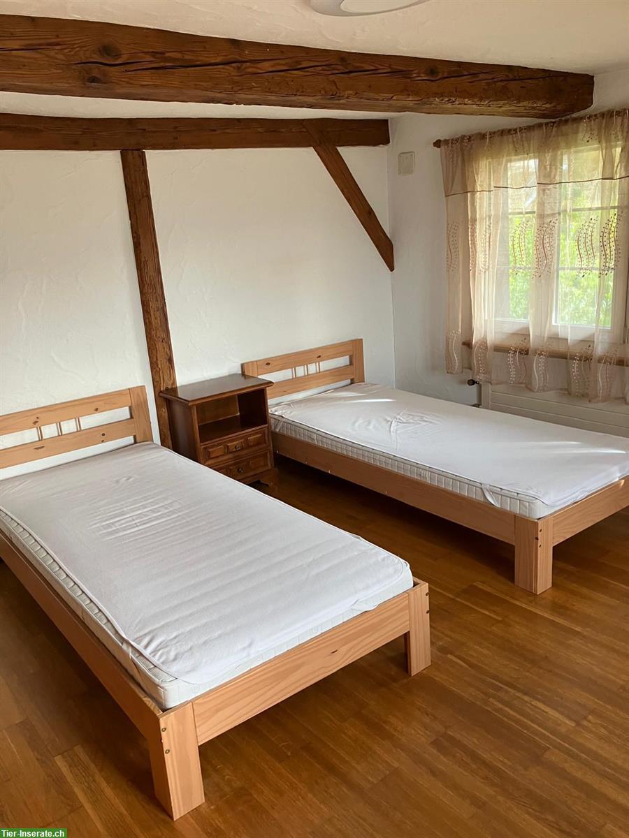 Bild 5: 2 grosse WG-Zimmer zu vermieten in Leimbach AG