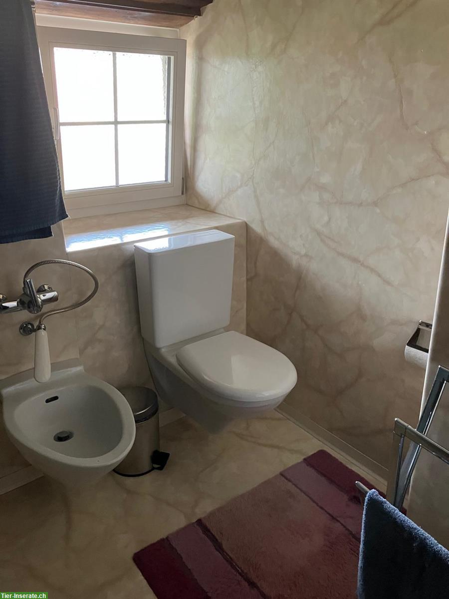 Bild 8: 2 grosse WG-Zimmer zu vermieten in Leimbach AG