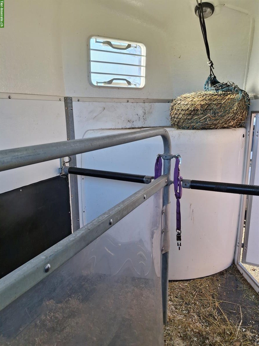Bild 3: 2er Böckmann Pferdeanhänger ab MFK zu verkaufen