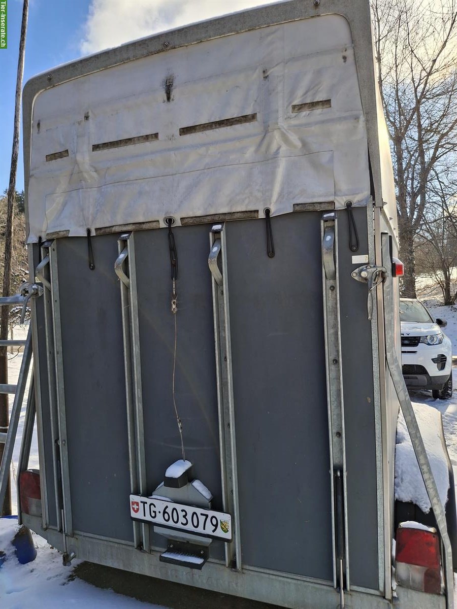 Bild 4: 2er Böckmann Pferdeanhänger ab MFK zu verkaufen