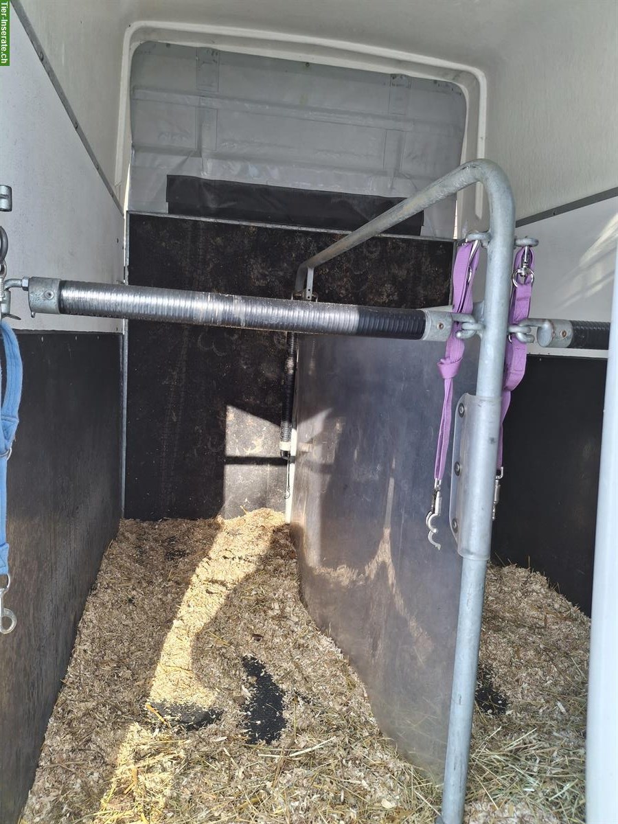 Bild 5: 2er Böckmann Pferdeanhänger ab MFK zu verkaufen