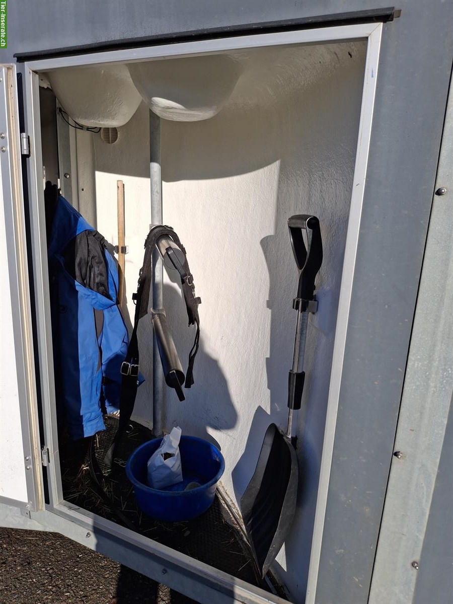 Bild 6: 2er Böckmann Pferdeanhänger ab MFK zu verkaufen