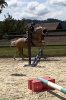 Pferdemädchen sucht Reitbeteiligung, Umkreis Zürich Enge