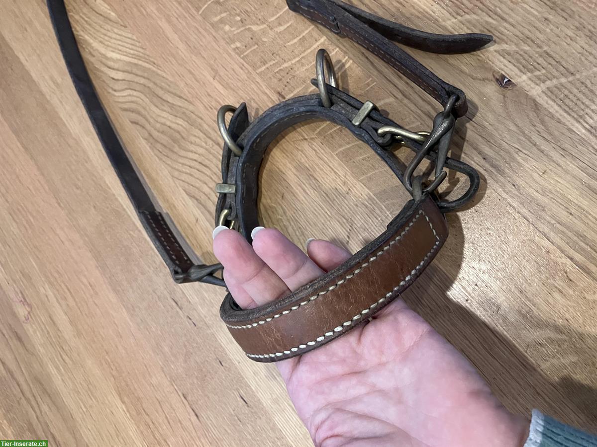 Bild 2: Kolumbianisches Bosal, Grösse Cob-Warmblut