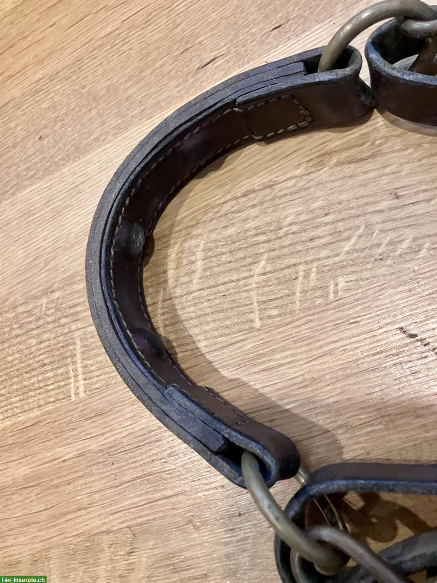 Bild 3: Kolumbianisches Bosal, Grösse Cob-Warmblut