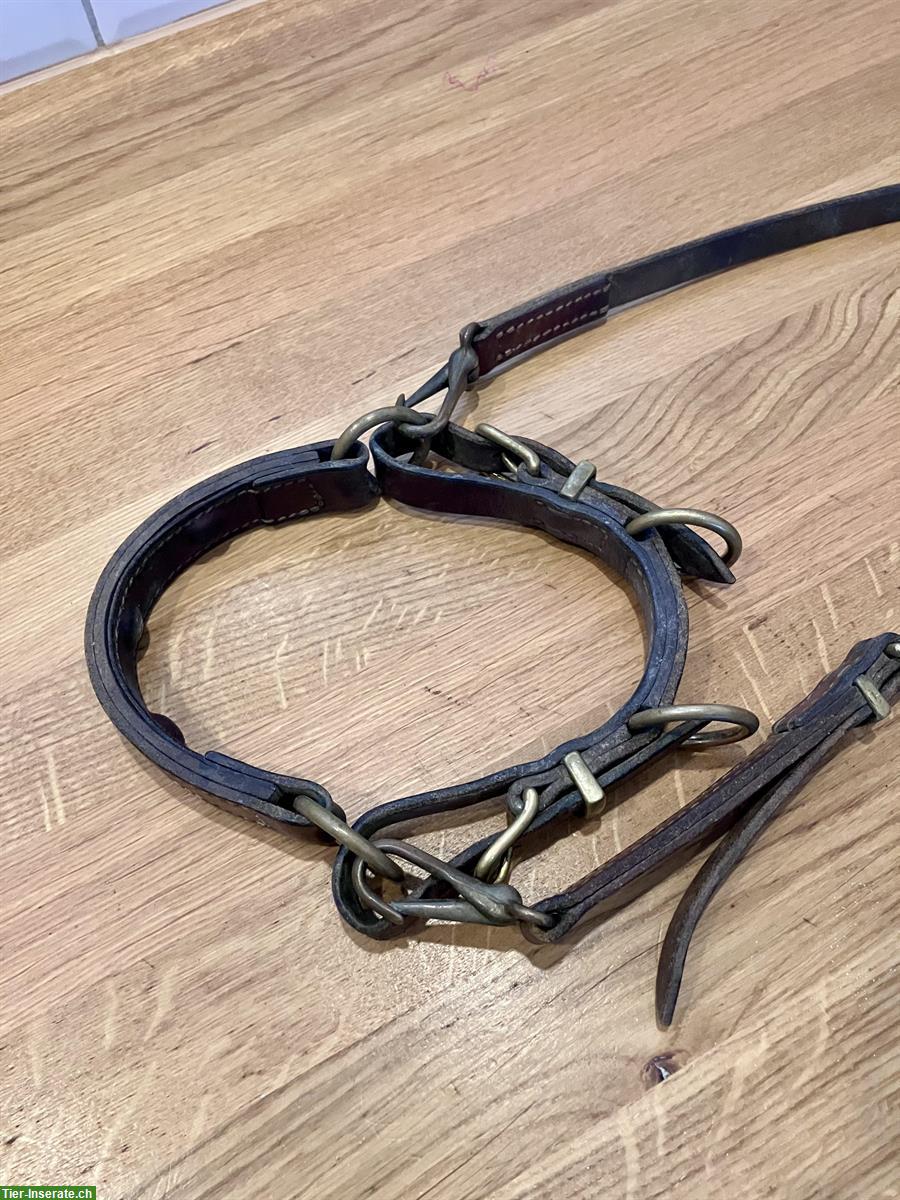 Bild 4: Kolumbianisches Bosal, Grösse Cob-Warmblut