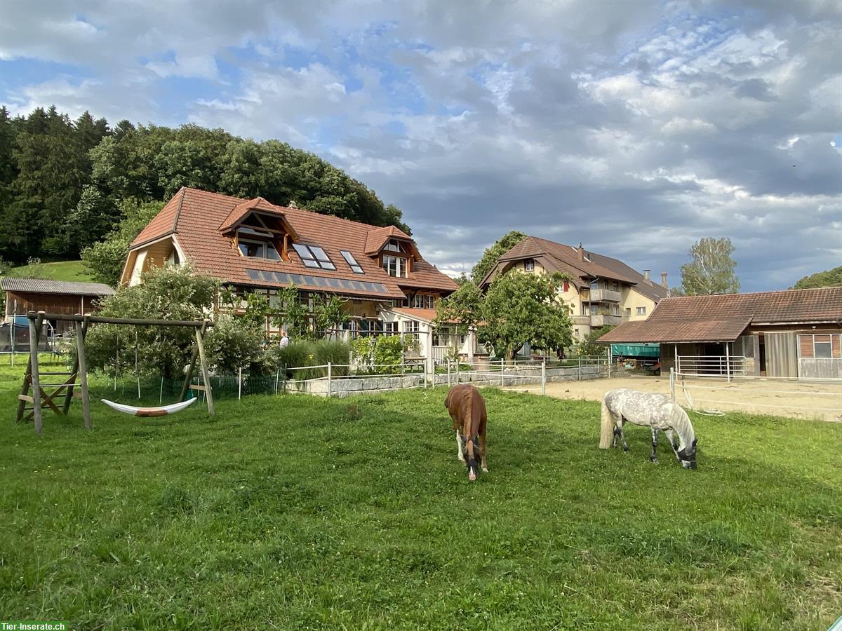 Einzigartiges Landhaus mit Freilaufstall zu vermieten