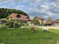 Einzigartiges Landhaus mit Freilaufstall zu vermieten
