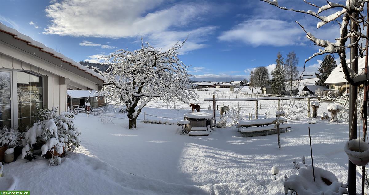 Bild 2: Einzigartiges Landhaus mit Freilaufstall zu vermieten