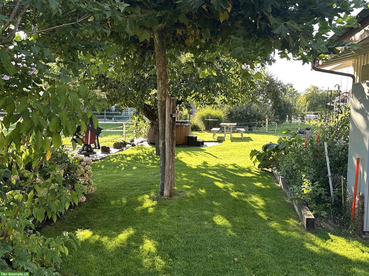 Bild 6: Einzigartiges Landhaus mit Freilaufstall zu vermieten