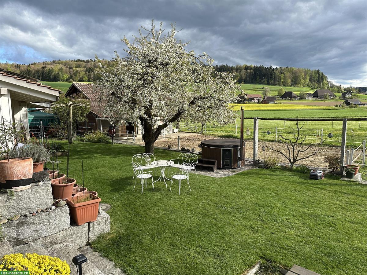 Bild 7: Einzigartiges Landhaus mit Freilaufstall zu vermieten