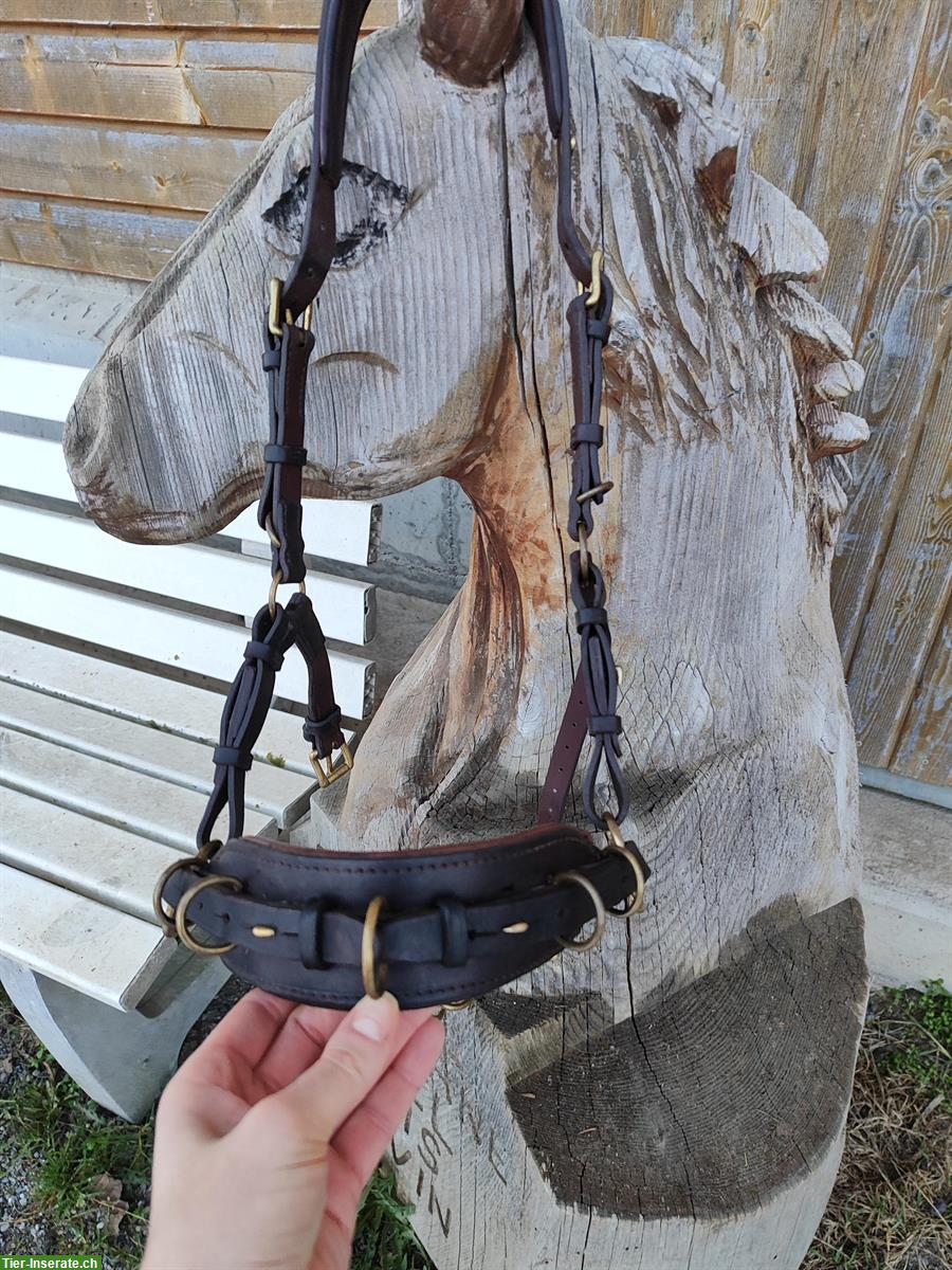 Multi-Cavecon / Kappzaum La Selle Gr. VB/WB zu verkaufen