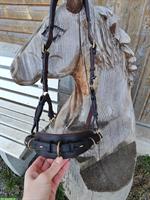 Multi-Cavecon / Kappzaum La Selle Gr. VB/WB zu verkaufen