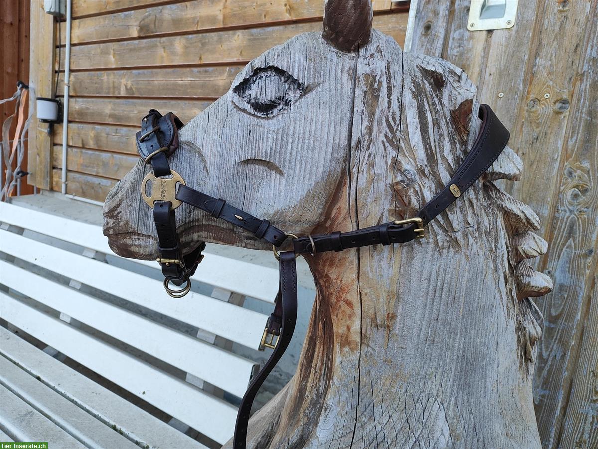 Bild 2: Multi-Cavecon / Kappzaum La Selle Gr. VB/WB zu verkaufen