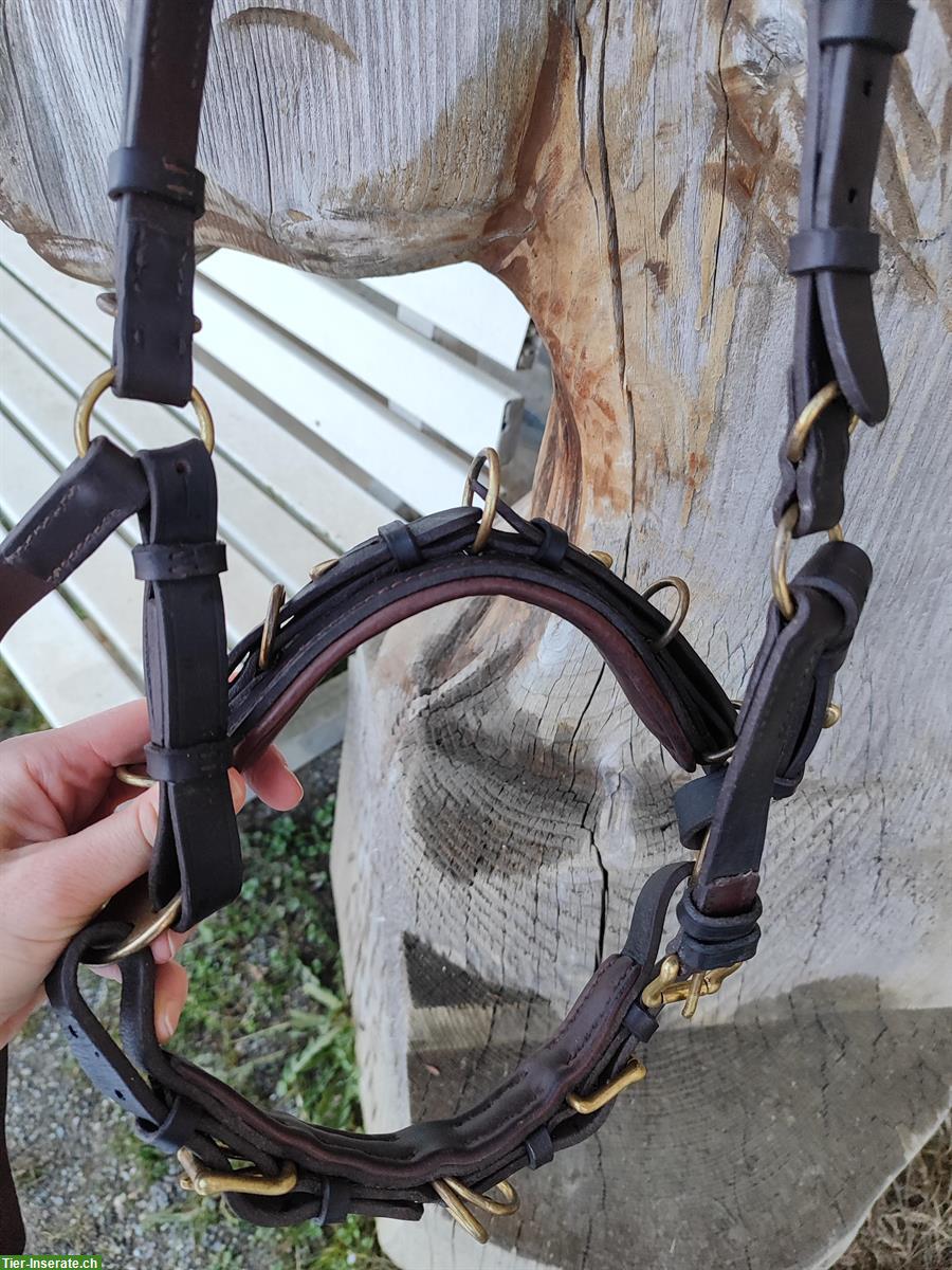 Bild 3: Multi-Cavecon / Kappzaum La Selle Gr. VB/WB zu verkaufen