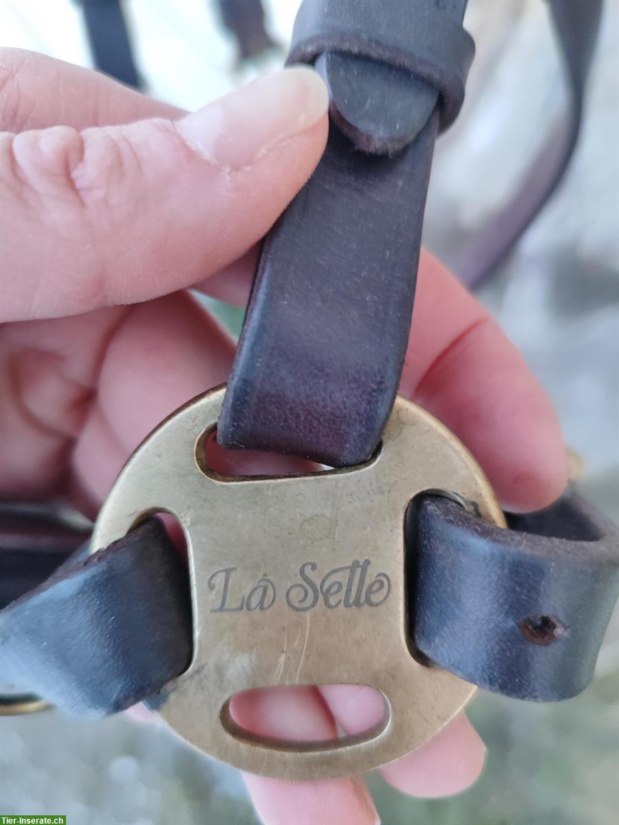 Bild 4: Multi-Cavecon / Kappzaum La Selle Gr. VB/WB zu verkaufen