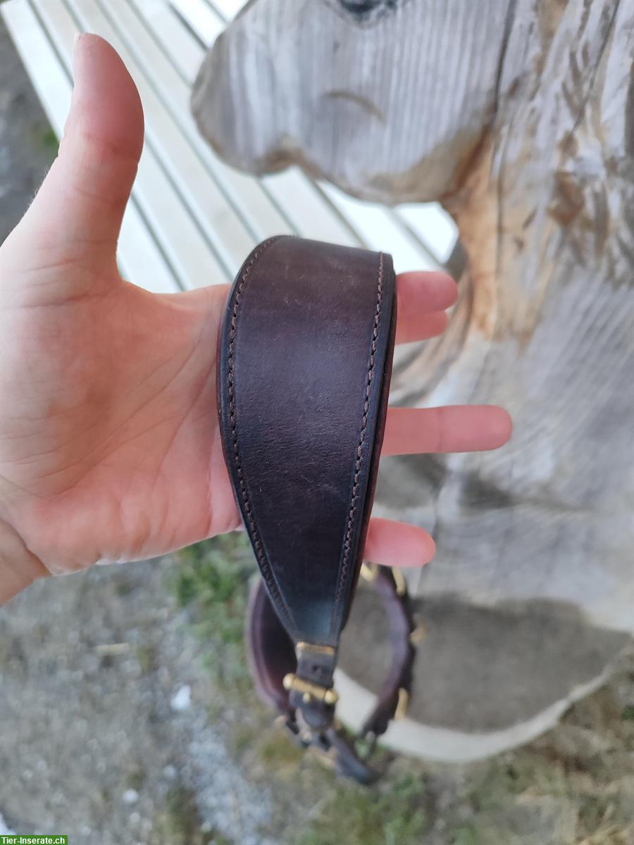 Bild 5: Multi-Cavecon / Kappzaum La Selle Gr. VB/WB zu verkaufen