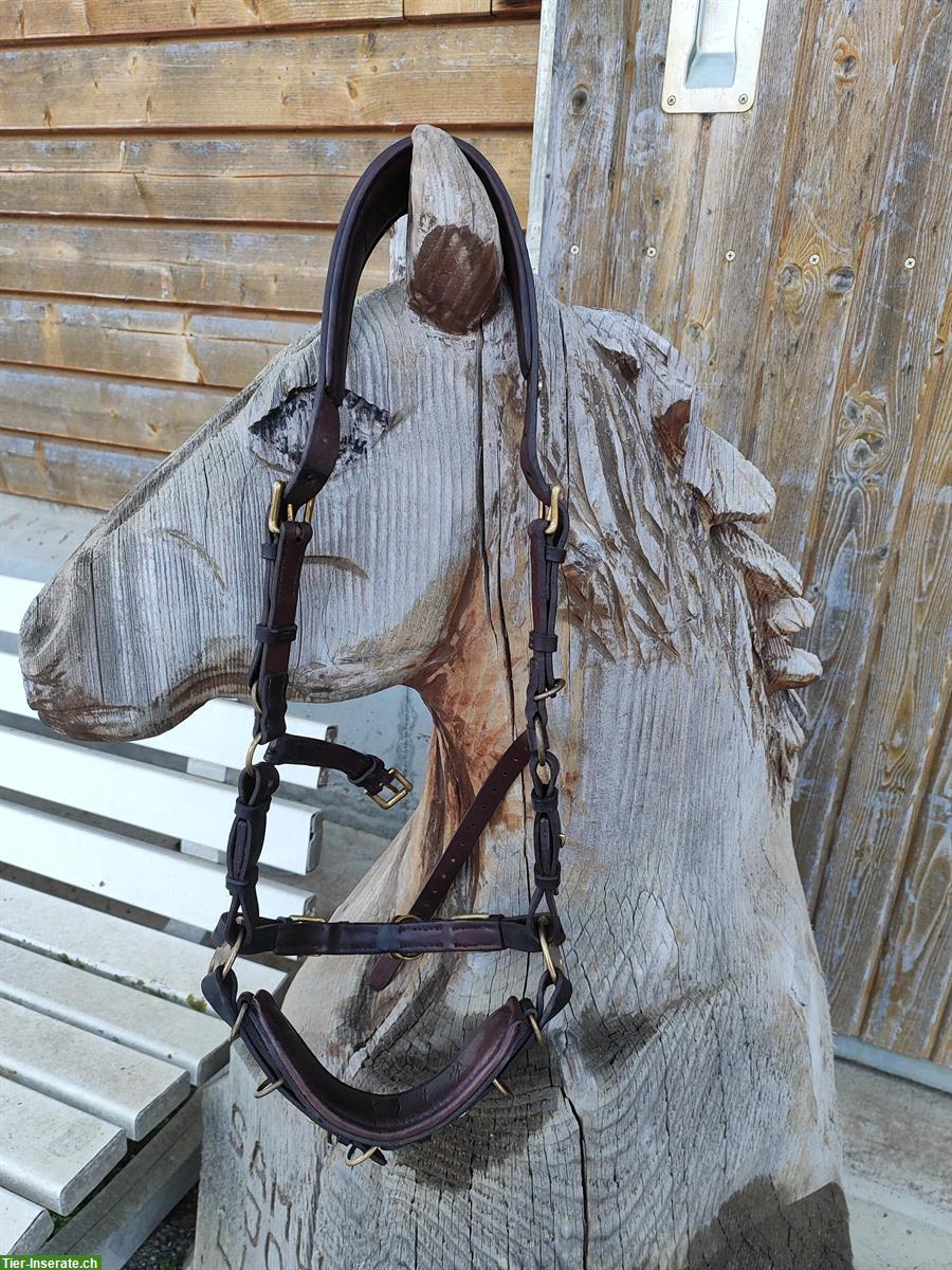 Bild 7: Multi-Cavecon / Kappzaum La Selle Gr. VB/WB zu verkaufen