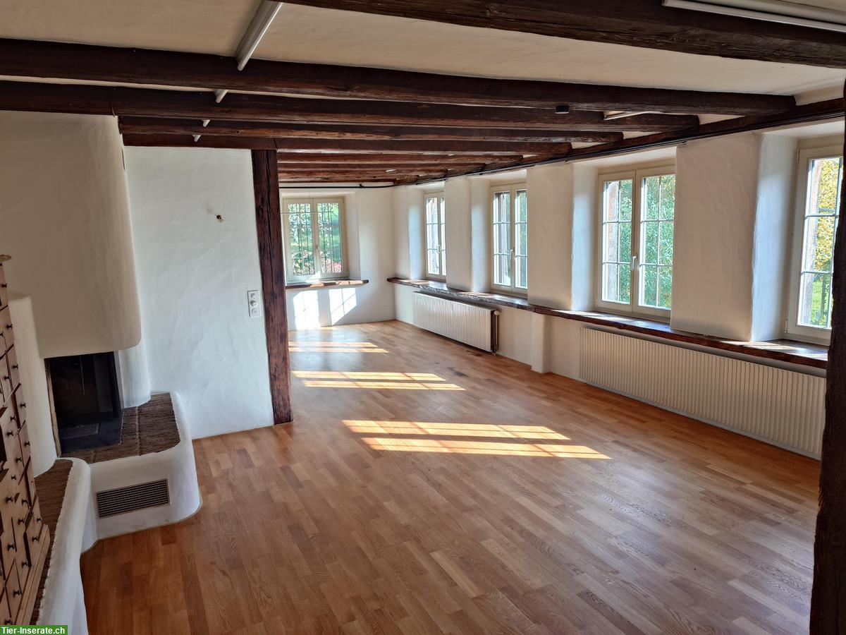 Bild 2: 4.5 Zimmer-Haushälfte mit Scheune in Elsau ZH